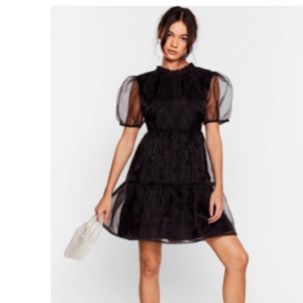 Organza Sleeve Dress brand new/tags